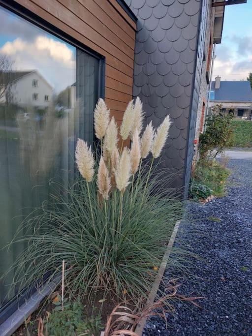 Le Reposoir Maison Spacieuse Avec Feu Au Bois Bertogne Exterior foto